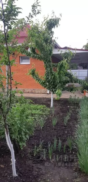 Дом в Краснодарский край, Краснодар городской округ, Октябрьский хут., ... - Фото 1