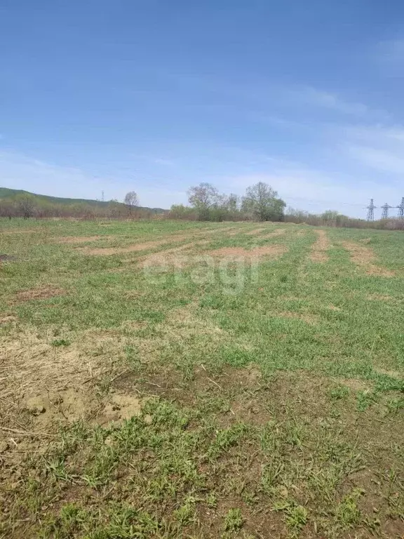 Участок в Амурская область, Благовещенский район, с. ... - Фото 1