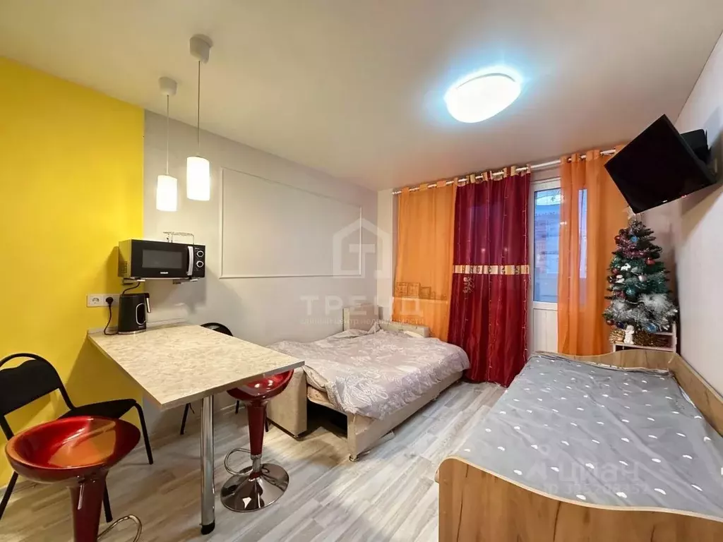 Студия Санкт-Петербург пос. Шушары, просп. Новгородский, 4 (23.2 м) - Фото 1