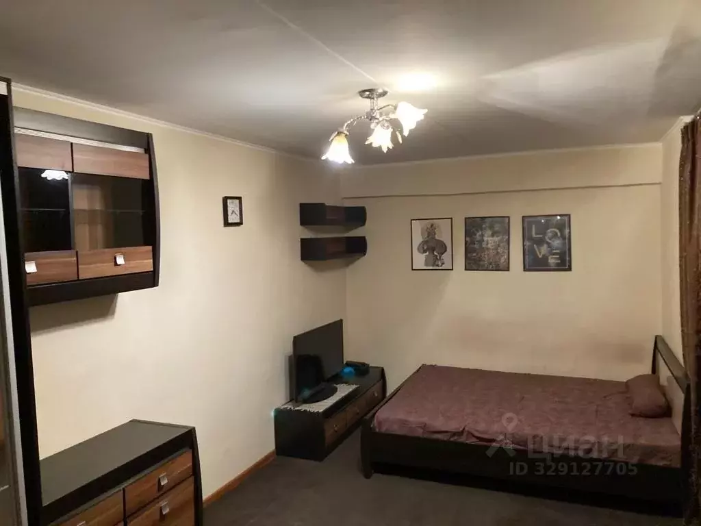 1-к кв. Москва Судостроительная ул., 47 (29.7 м) - Фото 2