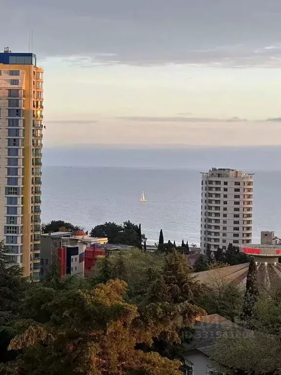 2-к кв. Краснодарский край, Сочи Светлана мкр, ул. Депутатская, 10Дк1 ... - Фото 2