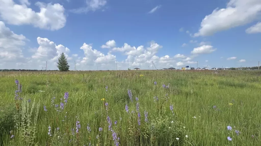 Участок в Пензенская область, с. Бессоновка ул. Родниковая (10.0 сот.) - Фото 0