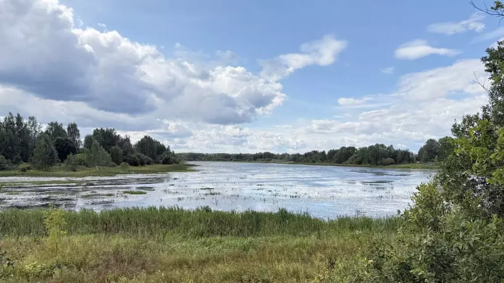 Участок в Костромская область, Кострома  (10.09 сот.) - Фото 1