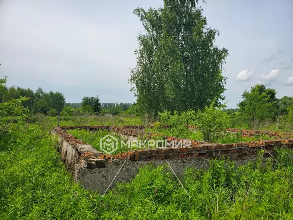 Участок в Орловская область, Орловский муниципальный округ, пос. ... - Фото 2