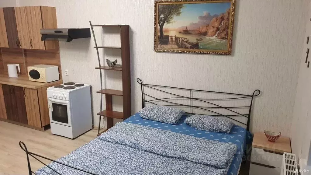 Студия Пермский край, Пермь ул. Революции, 54 (35.0 м) - Фото 2