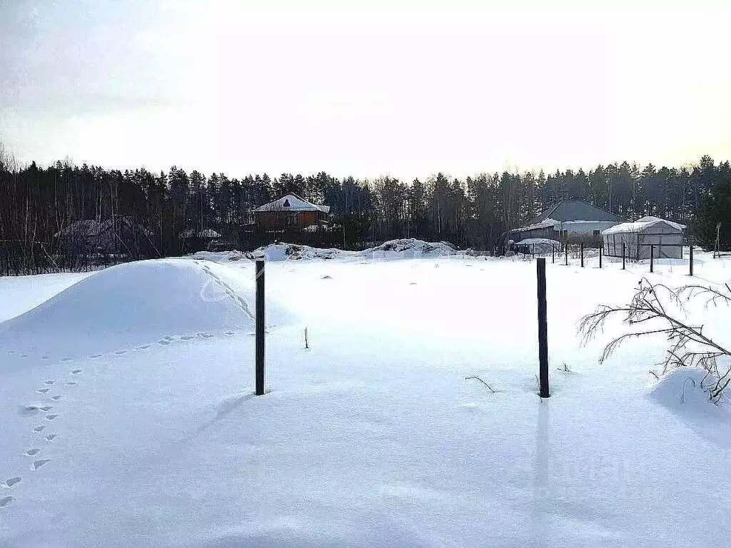 Участок в Тюменская область, Тюменский район, д. Посохова ул. Озерная ... - Фото 1