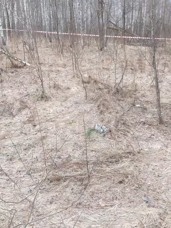 Участок в Калужская область, Калуга городской округ, д. Матюнино  ... - Фото 2