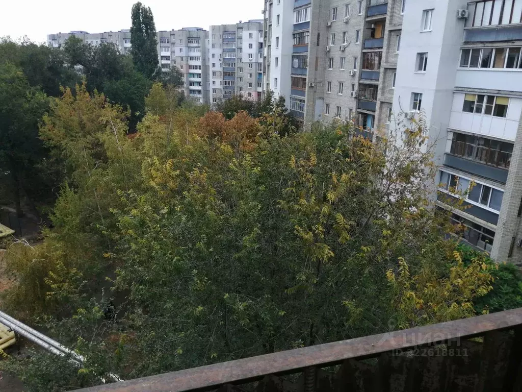 1-к кв. Саратовская область, Саратов ул. Имени М.М. Расковой, 10 (31.0 ... - Фото 1