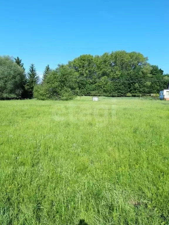 Участок в Мордовия, Рузаевский район, с. Ключарево Центральная ул. ... - Фото 2