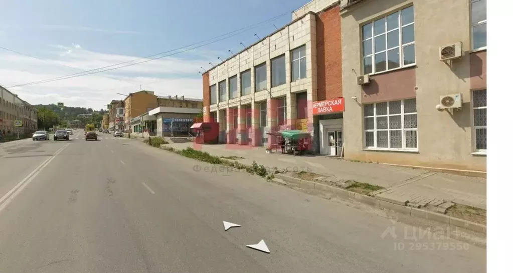 Помещение свободного назначения в Челябинская область, Троицк ул. ... - Фото 1