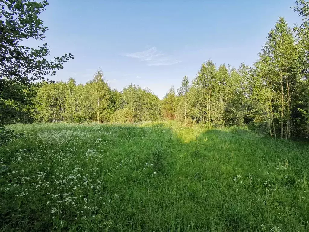 Участок 26,8 га (СНТ, ДНП) - Фото 1