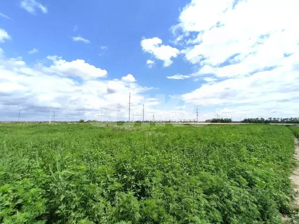 Участок в Краснодарский край, Кореновск ул. Андрейчука (5.5 сот.) - Фото 1