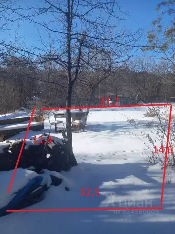 Участок в Амурская область, Благовещенск Доброволец СТ,  (5.37 сот.) - Фото 2