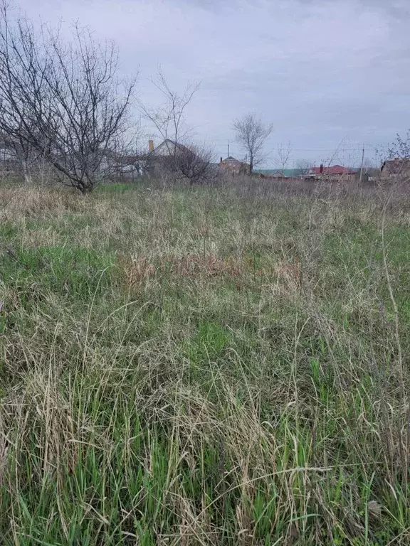 Участок в Ростовская область, Аксайский район, Мишкинская ст-ца ... - Фото 1