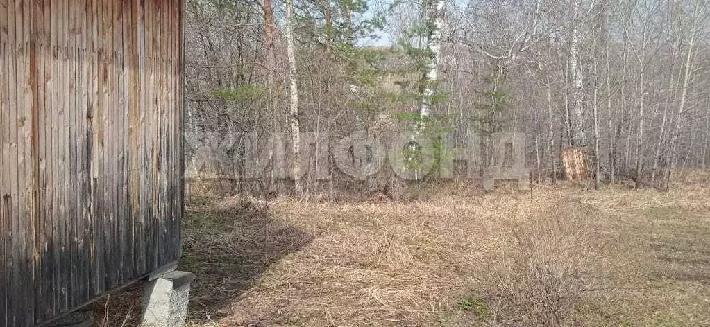 Дом в Новосибирская область, Новосибирский район, Барышевский ... - Фото 1