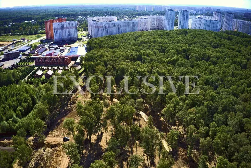 Участок в Московская область, муниципальный округ Чехов, деревня ... - Фото 2