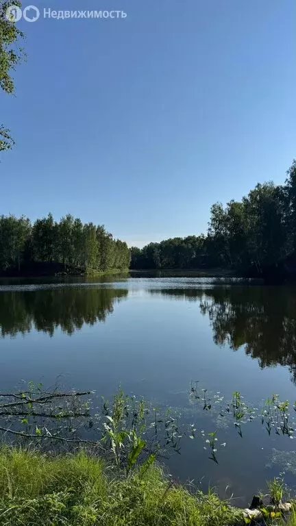 Дом в Нижегородская область, Городецкий муниципальный округ, деревня ... - Фото 1