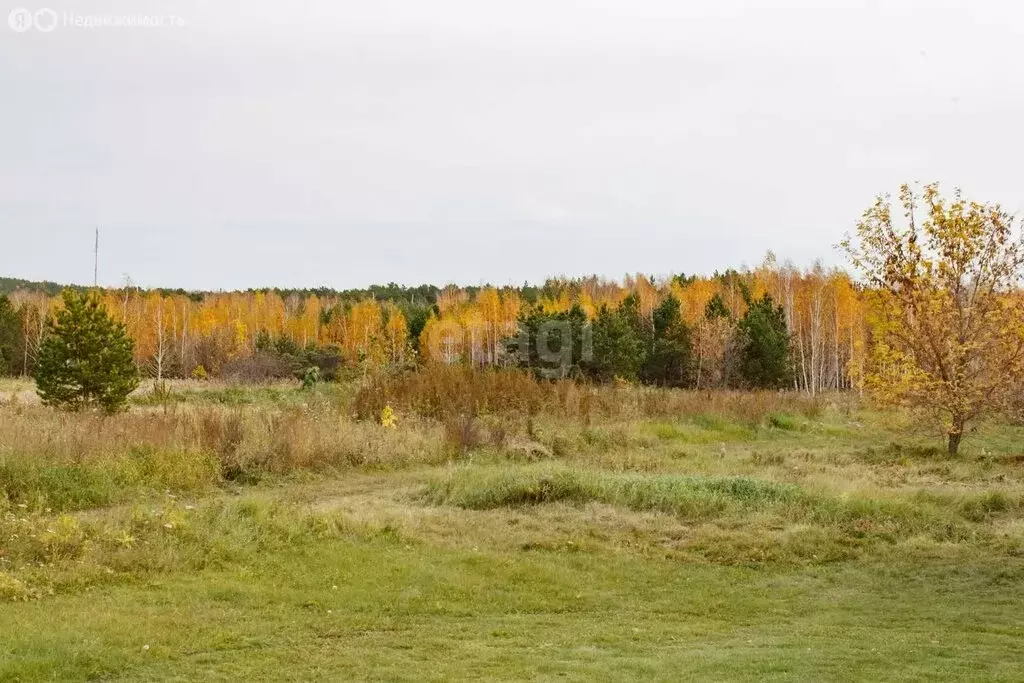 Участок в Тюменская область, Ишимский муниципальный округ, посёлок ... - Фото 2