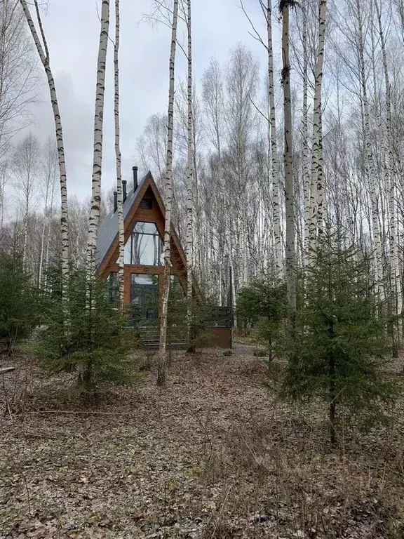 Дом в Нижегородская область, Нижний Новгород д. Черемисское, Дачный ... - Фото 1