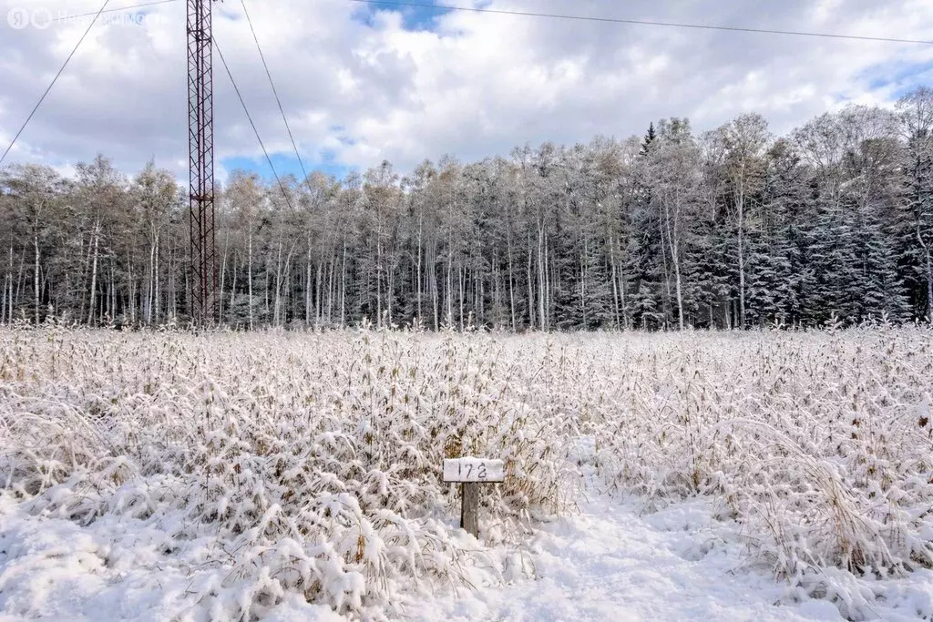 Участок в Наро-Фоминский городской округ, садовое товарищество ... - Фото 2