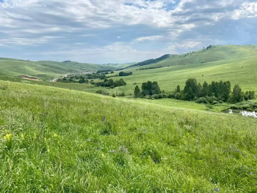 Участок в Алтайский район, ДНТ Жемчужина Алтая (9.28 м) - Фото 1