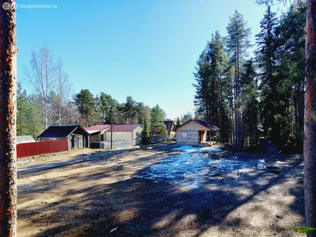 Участок в Республика Карелия, посёлок городского типа Пряжа (12 м) - Фото 2