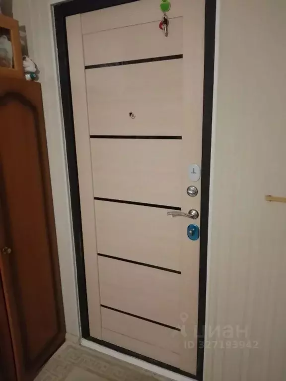 Комната Санкт-Петербург просп. Ударников, 49К2 (24.9 м) - Фото 1