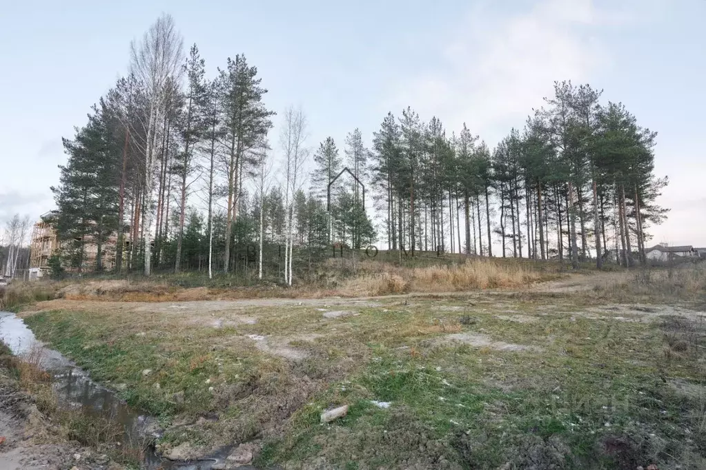 Участок в Ленинградская область, Всеволожский район, Бугровское ... - Фото 0