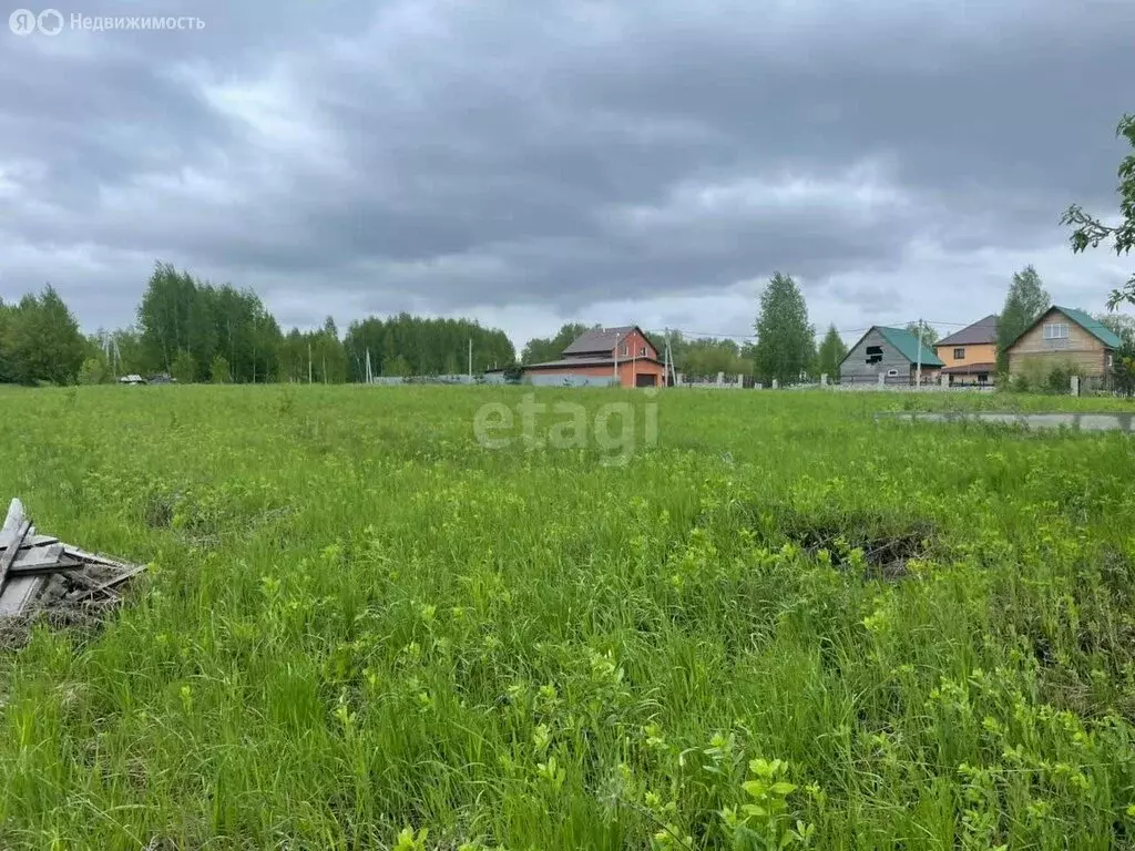 Участок в Морозовский сельсовет, дачное некоммерческое товарищество ... - Фото 0