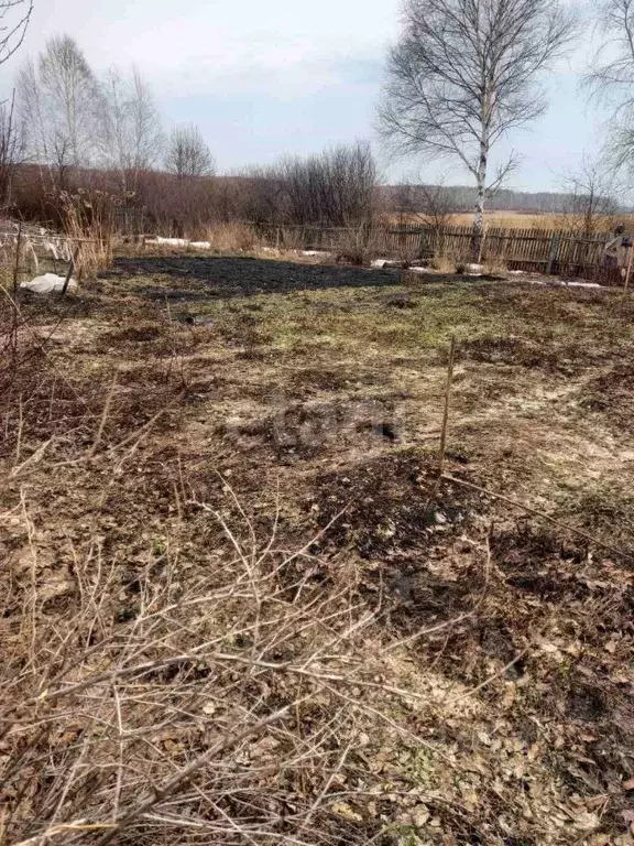 Участок в Курганская область, Шадринский муниципальный округ, ... - Фото 1
