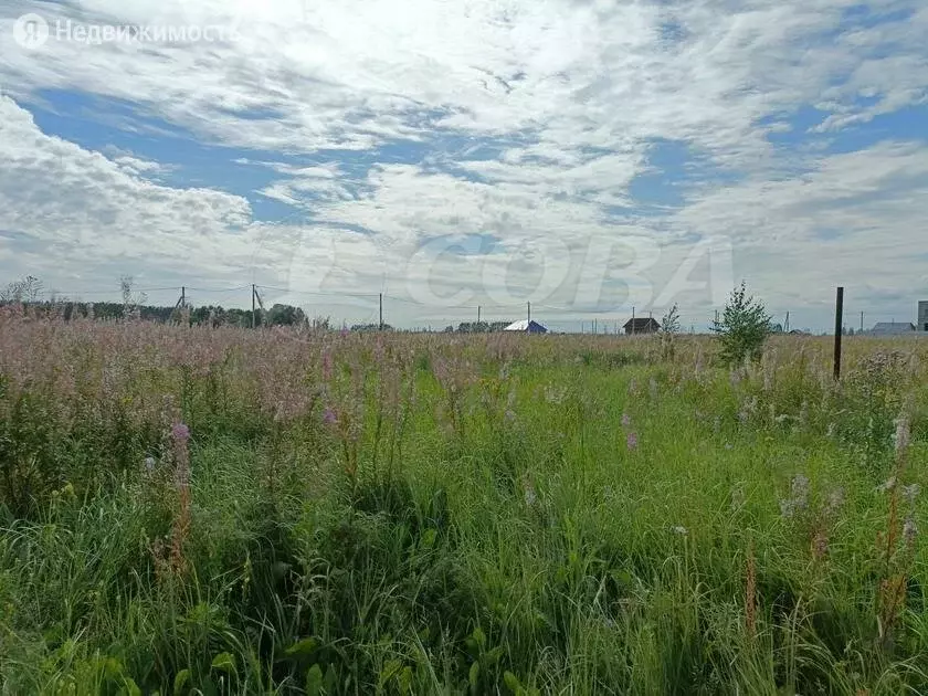 Участок в Тюменский район, село Борки (10 м) - Фото 0