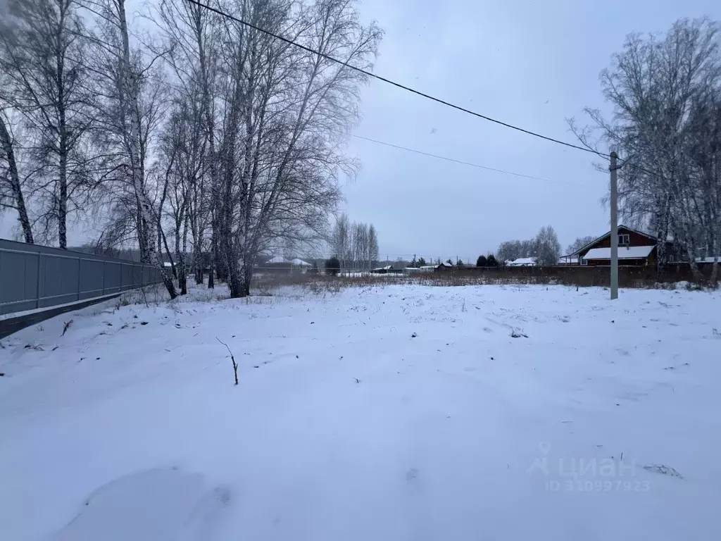 Участок в Новосибирская область, Новосибирский район, Краснообск рп, ... - Фото 1