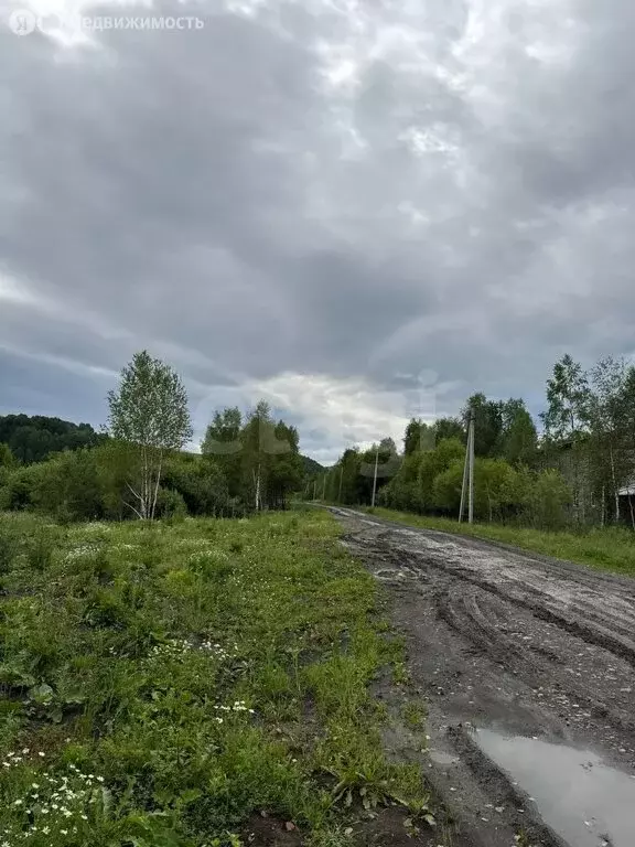 Участок в Горно-Алтайск, Сосновая улица (10000 м) - Фото 0