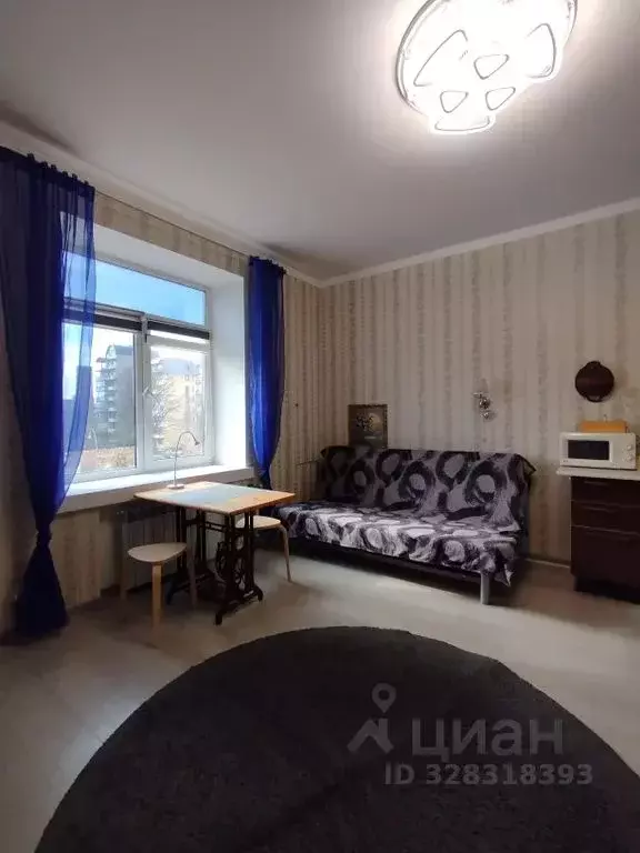 Студия Ленинградская область, Выборг Морская наб., 30 (25.0 м) - Фото 2