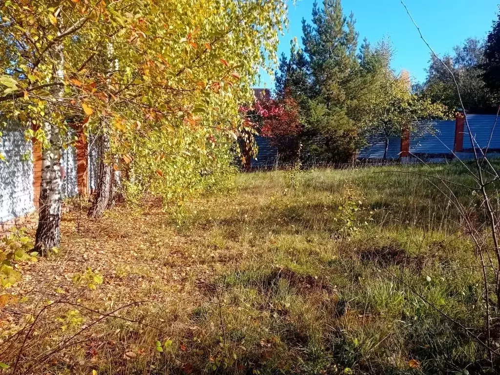 Участок в Московская область, Одинцовский городской округ, Поляна ... - Фото 2