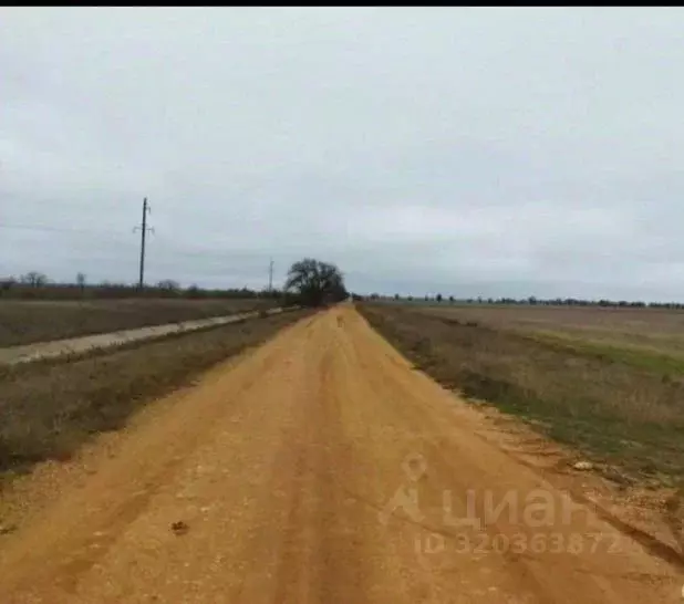 Участок в Крым, Сакский район, с. Воробьево  (1570.0 сот.) - Фото 0
