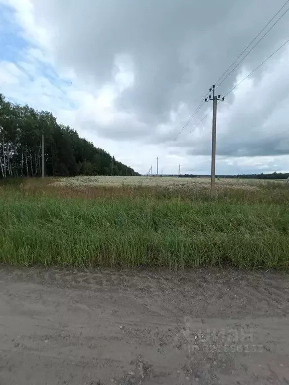 Участок в Брянская область, Жуковка Краснослободская ул. (319000.0 ... - Фото 0