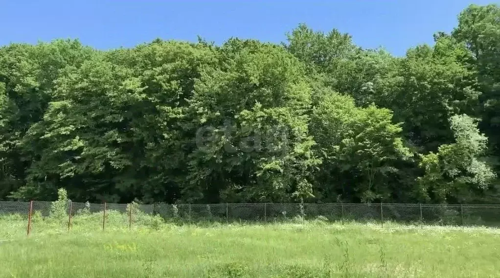 Участок в Краснодарский край, Геленджик городской округ, с. Адербиевка ... - Фото 2