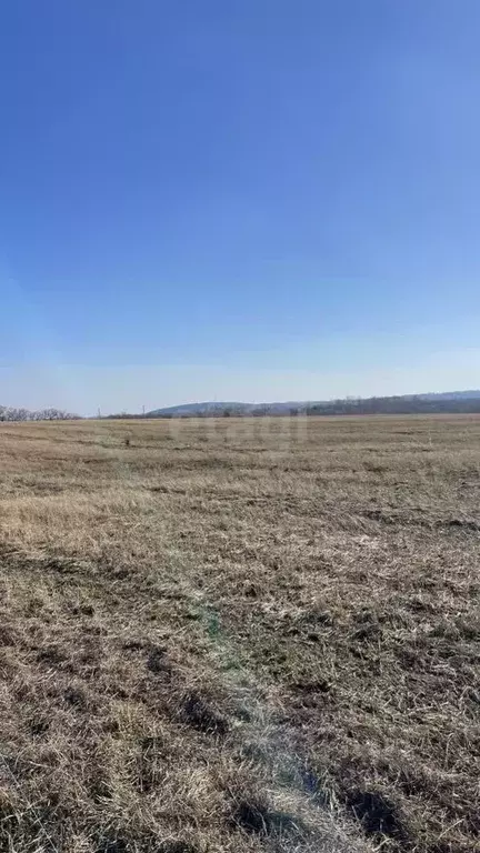 Участок в Кемеровская область, Новокузнецкий муниципальный округ, с. ... - Фото 1