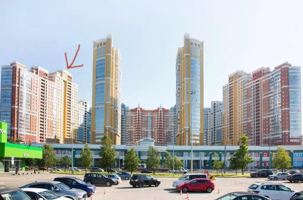 Студия Санкт-Петербург просп. Просвещения, 43 (30.0 м) - Фото 0