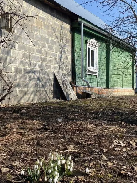 Дом в Московская область, Воскресенск городской округ, Хорлово пгт ул. ... - Фото 0
