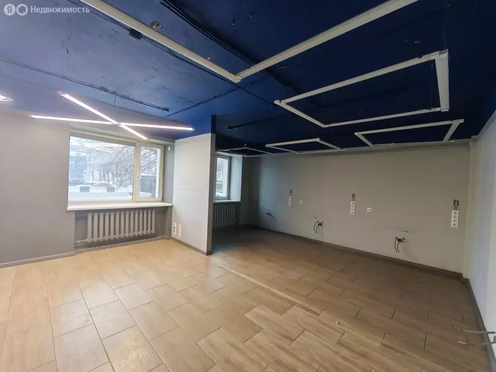 Помещение свободного назначения (42 м) - Фото 2