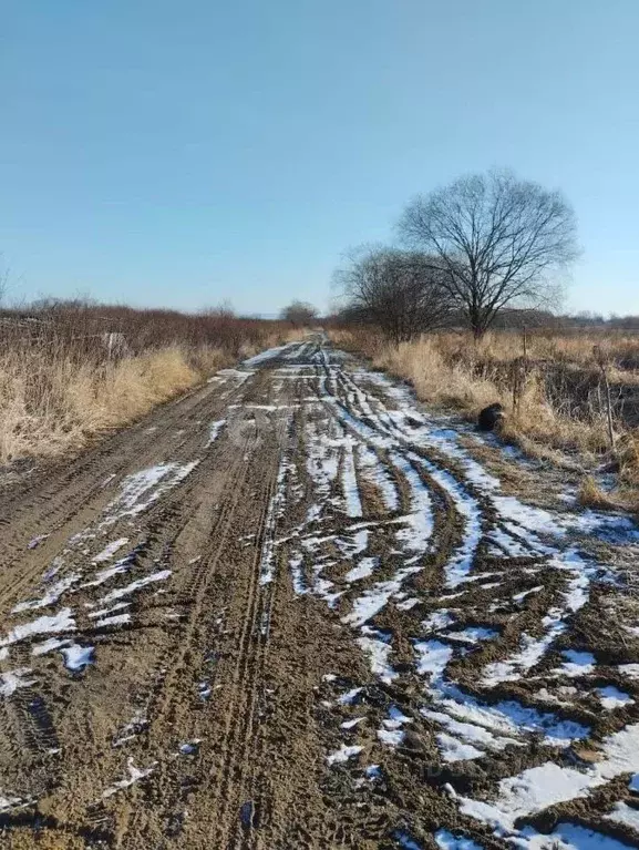 Участок в Сахалинская область, Анивский городской округ, с. Таранай  ... - Фото 1