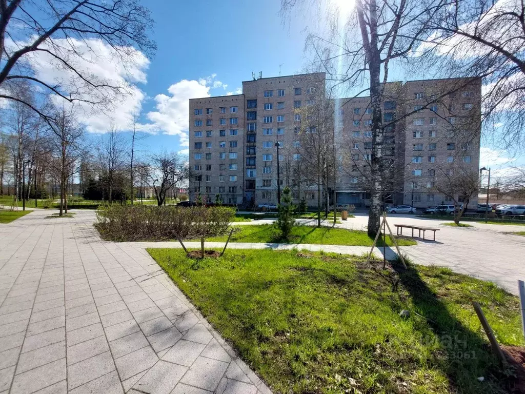 Комната Санкт-Петербург ш. Революции, 87 (17.5 м) - Фото 0