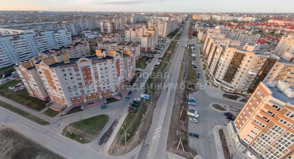 Помещение свободного назначения в Новгородская область, Великий ... - Фото 2