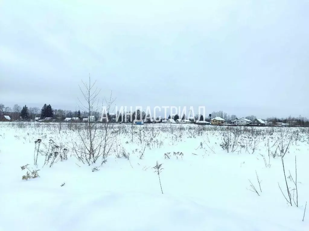 Участок в Московская область, Домодедово городской округ, д. Гальчино ... - Фото 2