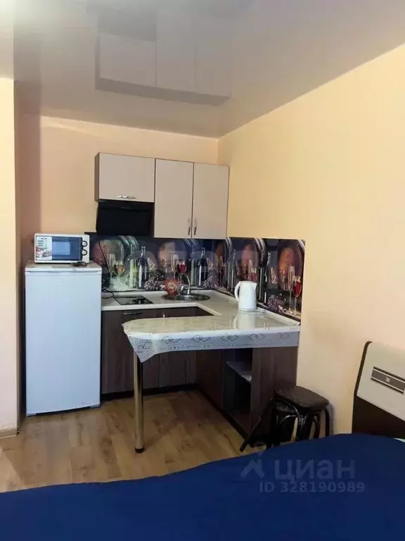 Студия Амурская область, Благовещенск Октябрьская ул., 221 (28.0 м) - Фото 1