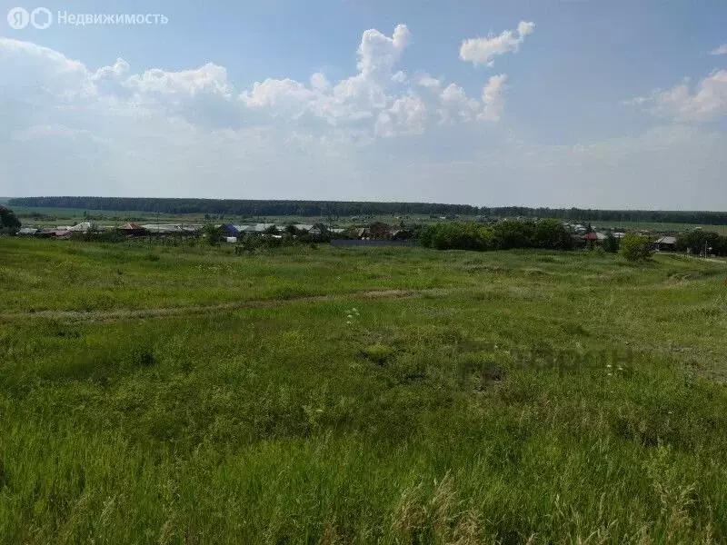 Участок в Челябинская область, Чебаркульский муниципальный округ, ... - Фото 2