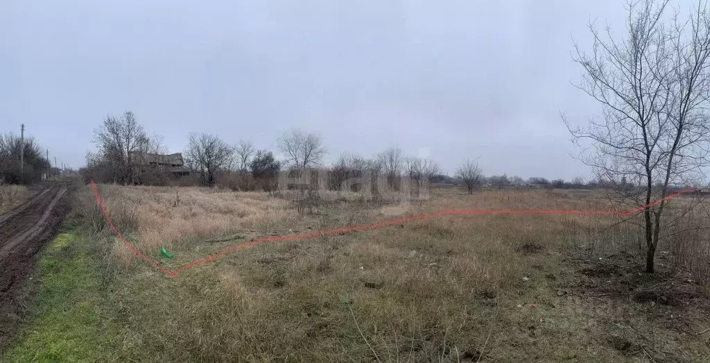 Участок в Ростовская область, Багаевский район, Манычское с/пос, ... - Фото 1