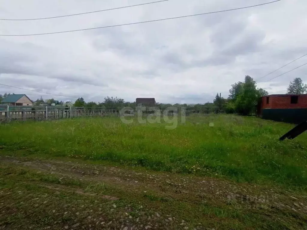 Участок в Новосибирская область, Новосибирский район, Ярковский ... - Фото 2